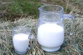 Foto of milk and glass on haystack