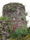 Fougeres Castle