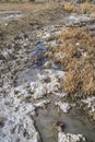 Alkaline clay bog in energy field