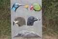 Found this board in a sanctuary in india. Details of fre birds beaks with their prey in their mouth Royalty Free Stock Photo