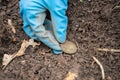 Found old precious coin in archaeologist hand with pinpointer metal detector.