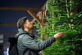 Found perfect Christmas tree bought at special planting place. Young adult man choosing a Christmas tree. Male buying christmas Royalty Free Stock Photo