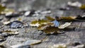 Abounded picnic table in forest Royalty Free Stock Photo