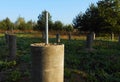 Foundation of asbestos-cement pipes in the forest thicket. Royalty Free Stock Photo