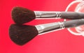 Foundation brushes