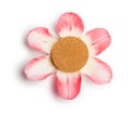 Foundation cushion on six pink petals isolated on white background. Royalty Free Stock Photo