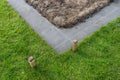 Foundation footings poured in a ditch in the yard, building a terrace in the backyard. Royalty Free Stock Photo