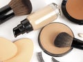 Set of decorative cosmetics on white background Royalty Free Stock Photo