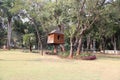 Tree house Botanical Garden in Puducherry, India