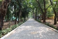 Path inside Botanical Garden in Puducherry, India