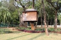 Tree-house Botanical Garden in Puducherry, India