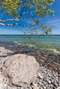 Foundling on shore of the Baltic Sea Royalty Free Stock Photo