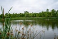 Fountain and artificial pond in Woodbine Park, Toronto Royalty Free Stock Photo