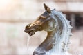 fountain in Ascoli Piceno