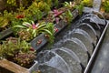 The fountain is beautifully arranged in a model garden Royalty Free Stock Photo