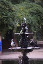 Fountain with birds drining water from it in the park