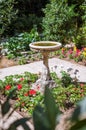 Fountain of a classic flower garden of a Parisian course in Paris Royalty Free Stock Photo