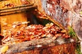 The fountain is covered by colored leaves of autumn Royalty Free Stock Photo