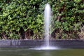 Fountain, fountain decoration in the garden Royalty Free Stock Photo