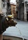 Fountain detail with bronze bull head