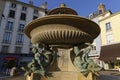 Fountain of the Dolphins in Grenoble center