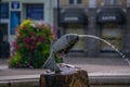 Fountain element in the form of a fish made of metal pouring