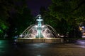 The fountain of the Europe park at night. Royalty Free Stock Photo