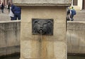 Fountain in the form of a lion`s head in Lviv, Ukraine