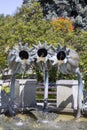 Fountain in the form of poppy heads on the town square, Makow Podhalanski, Poland