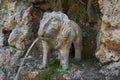 Unusual fountain in the form of a stone lion
