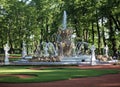 Fountain and formal garden Royalty Free Stock Photo