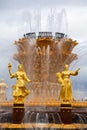 Fountain Friendship of Nations or Peoples of the USSR, Exhibition of Achievements of National Economy VDNKh in Moscow, Russia Royalty Free Stock Photo