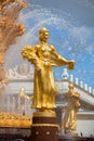 Fountain Friendship of Nations of the USSR or Friendship of Peoples of the USSR, Exhibition of Achievements of National Economy Royalty Free Stock Photo