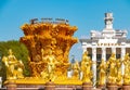 Fountain Friendship of the People on VDNH, Moscow Royalty Free Stock Photo