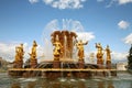 Fountain friendship of people in VDNKH, Moscow Royalty Free Stock Photo