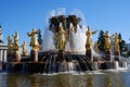 Fountain Friendship of People. View of VDNH park in Moscow Royalty Free Stock Photo