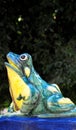 Fountain Frog Royalty Free Stock Photo