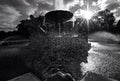 Fountain in Front of the Cleveland Museum of Art Royalty Free Stock Photo