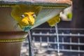 Fountain in front of monastery of Mother Mary Vidiani in Crete. Royalty Free Stock Photo