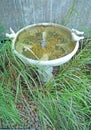 Fountain in garden Royalty Free Stock Photo