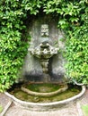 Fountain