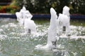 Fountain is going up in the garden pond Royalty Free Stock Photo