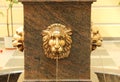 Fountain Golden lion in St. Petersburg, Russia