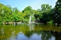 A fountain gushing water over a lake against a background of green trees. Royalty Free Stock Photo