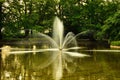 A fountain gushing water over a lake against a background of green trees. Royalty Free Stock Photo