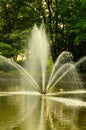 A fountain gushing water over a lake against a background of green trees. Royalty Free Stock Photo