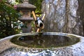 Fountain in japanese garden in Monte Carlo