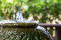 Fountain on a pottery jar Royalty Free Stock Photo