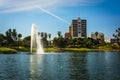 Fountain in the lake at MacArthur Park, in Westlake, Los Angeles Royalty Free Stock Photo