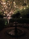 Fountain and lighted tree Royalty Free Stock Photo